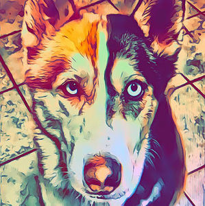 Meet your Posher, George